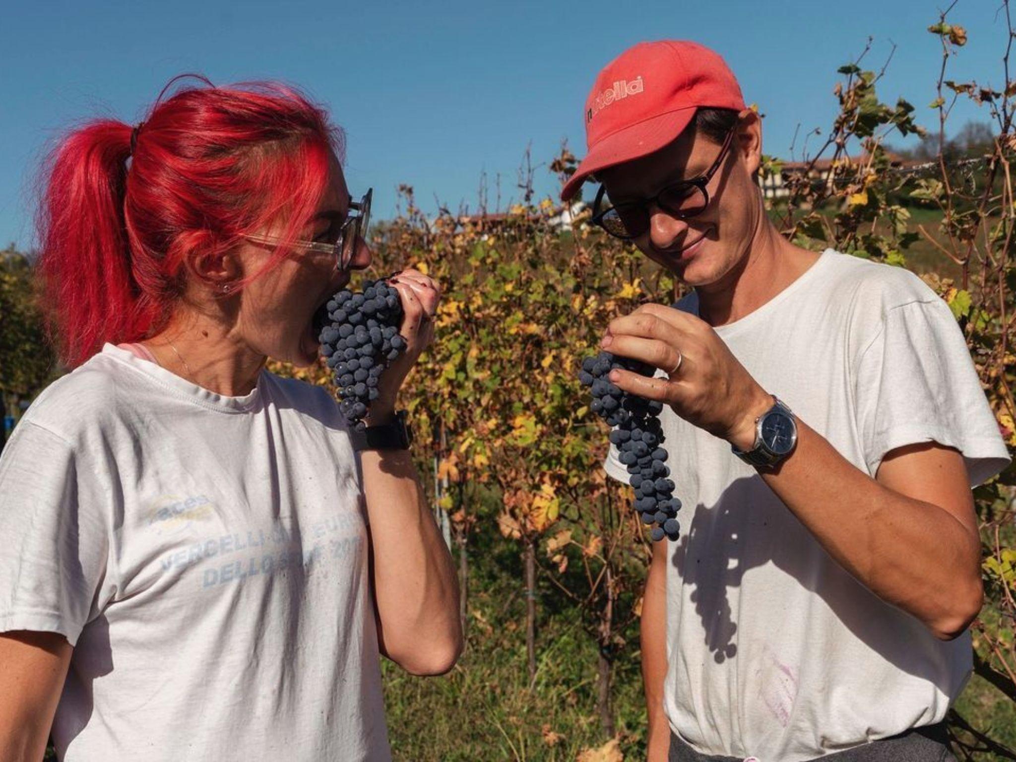 Wine Tasting and Winery Visit near Asti and Turin - photo 3
