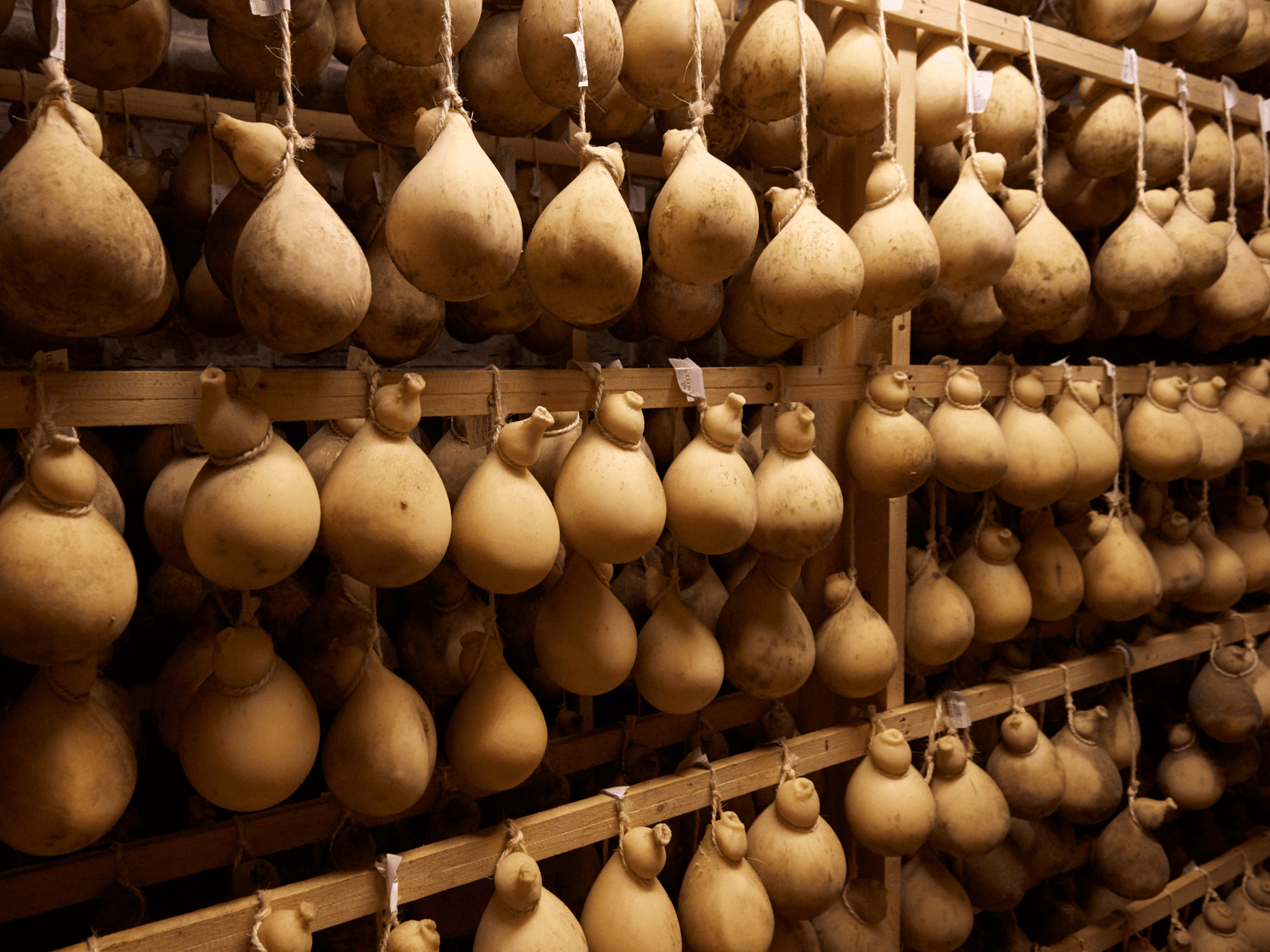 Traditional Cheese Factory Visit with Tasting near Isernia - photo 4