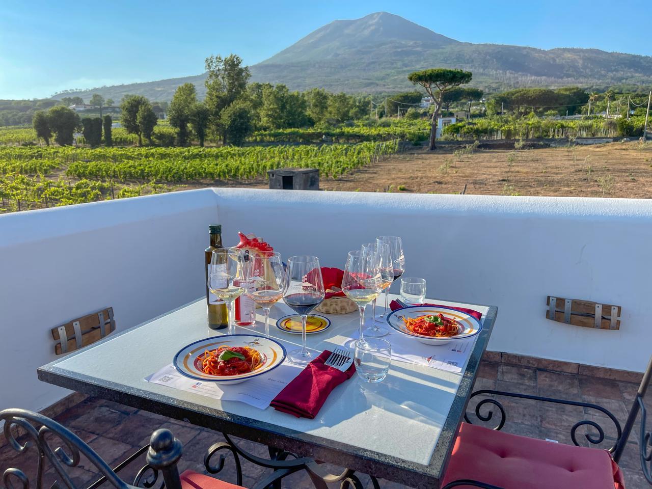 Mount Vesuvius & Wine Tasting with Lunch Private Tour from Sorrento Coast - photo 2