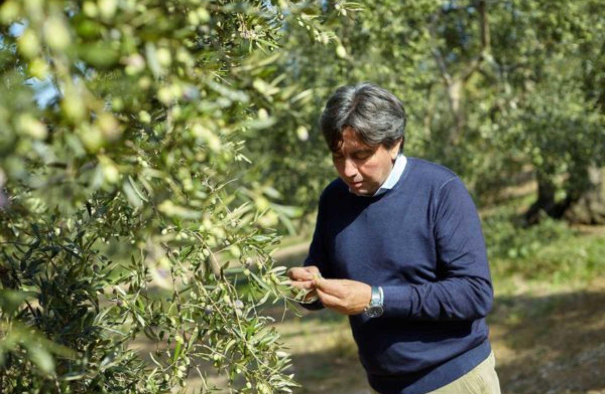 Olive Oil Mill Tour with Tasting near Molfetta & Bari - photo 2