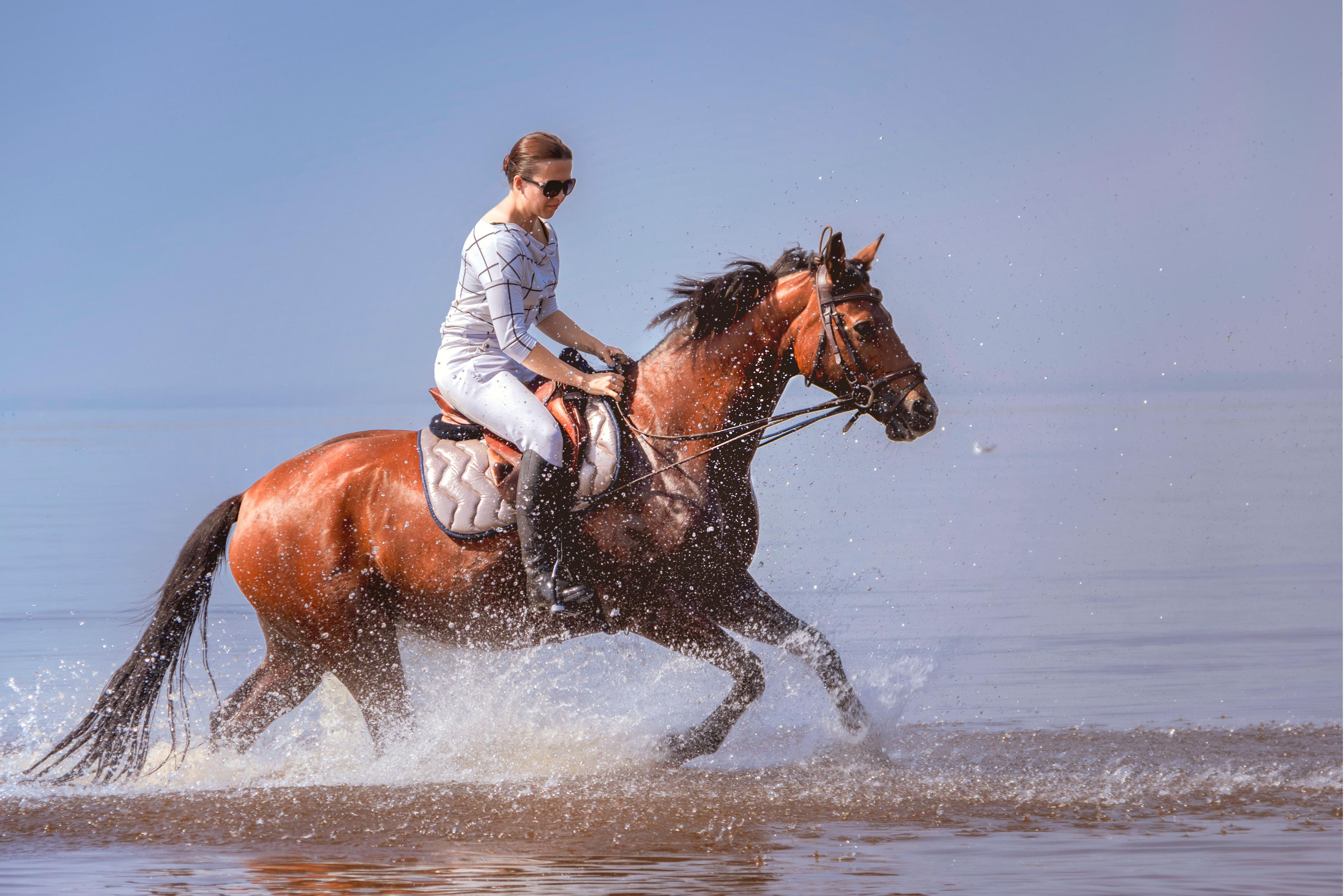 Horseback Riding Tour Marsa Alam with Option Horse Swimming - photo 4