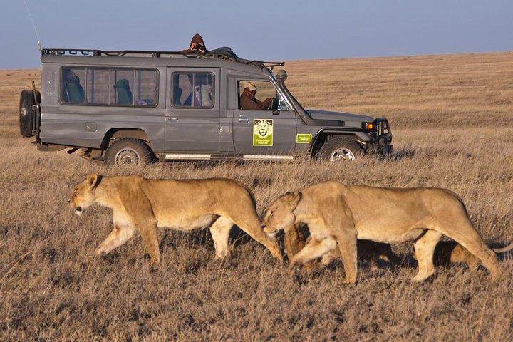 CAPE TOWN ) BEST OF AQUILA SAFARI FULLDAY TOUR - photo 2