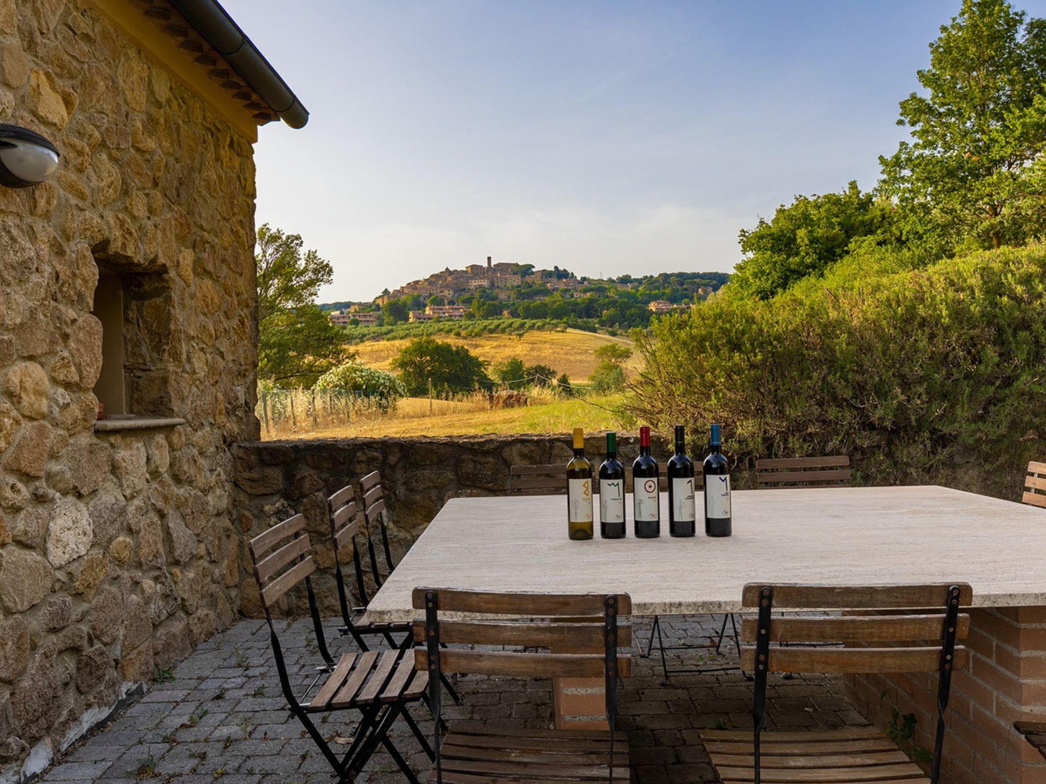 Winery Tour & Wine Tasting with Food near Livorno & Pisa - cover photo