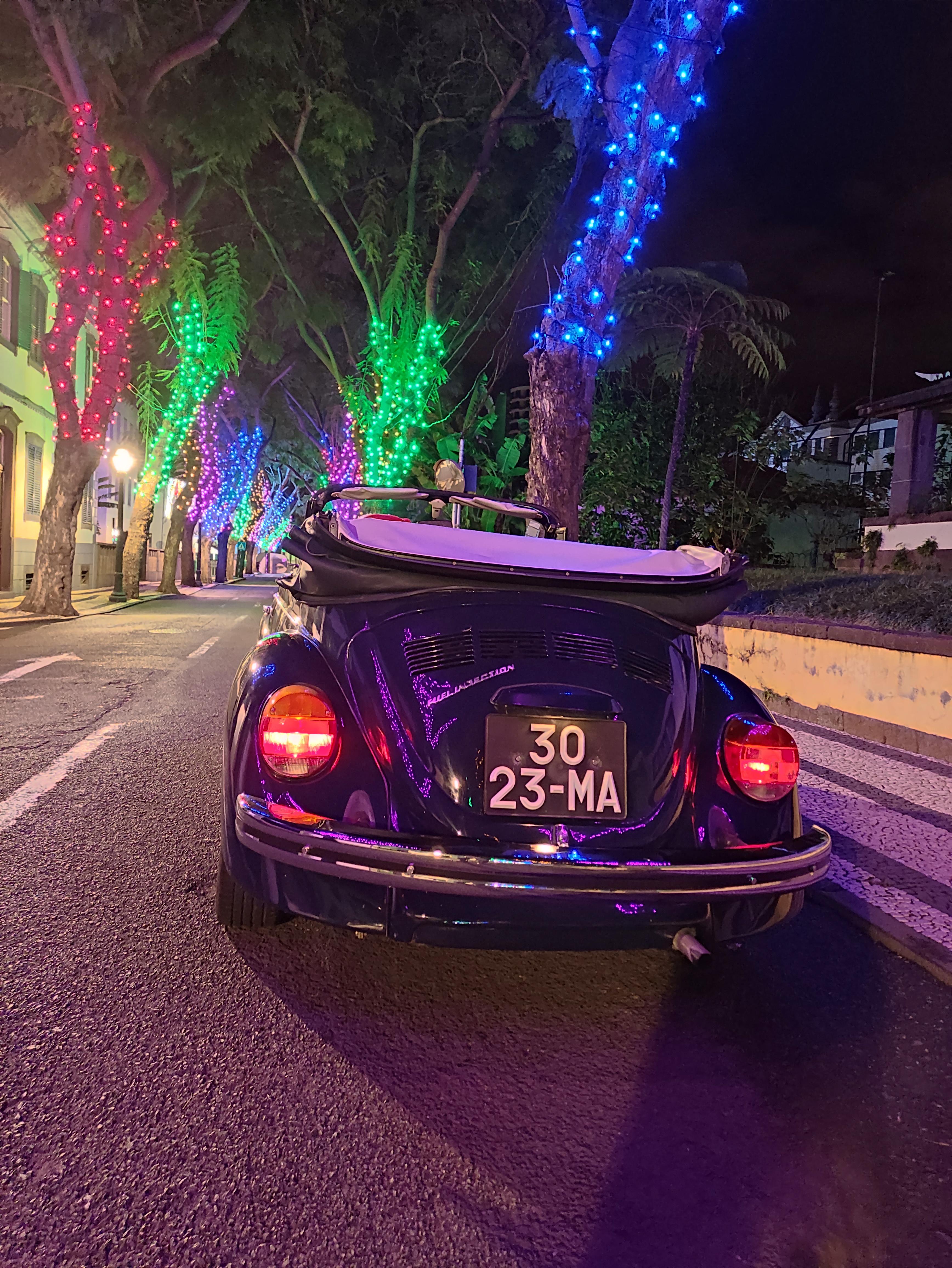 Funchal Christmas lights sightseeing night tour - photo 2