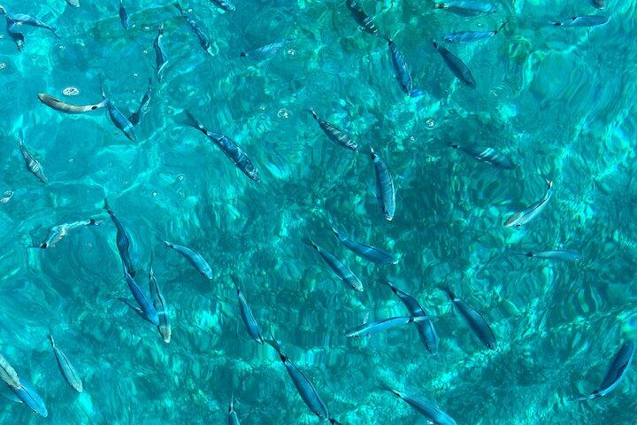 Bespoke private boat tour from Split & Trogir with a local expert - photo 5