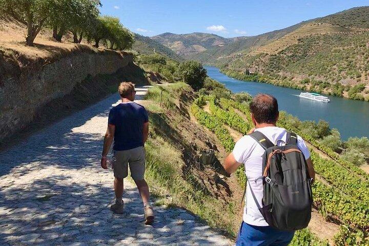 Pinhão Hiking Tour - cover photo