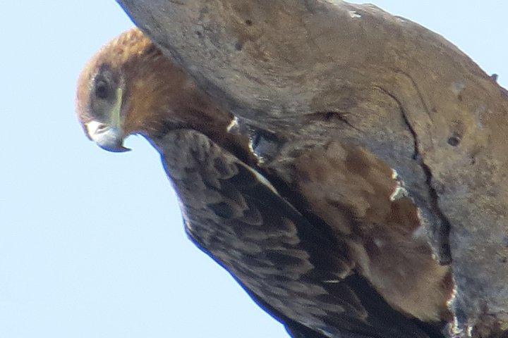 Hwange Overnight Safari Camping - photo 2