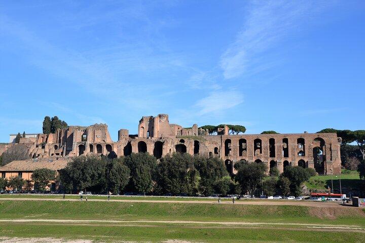Rome In Style Chauffeured Tour: Colosseum Tour & main sights + Lunch - photo 5