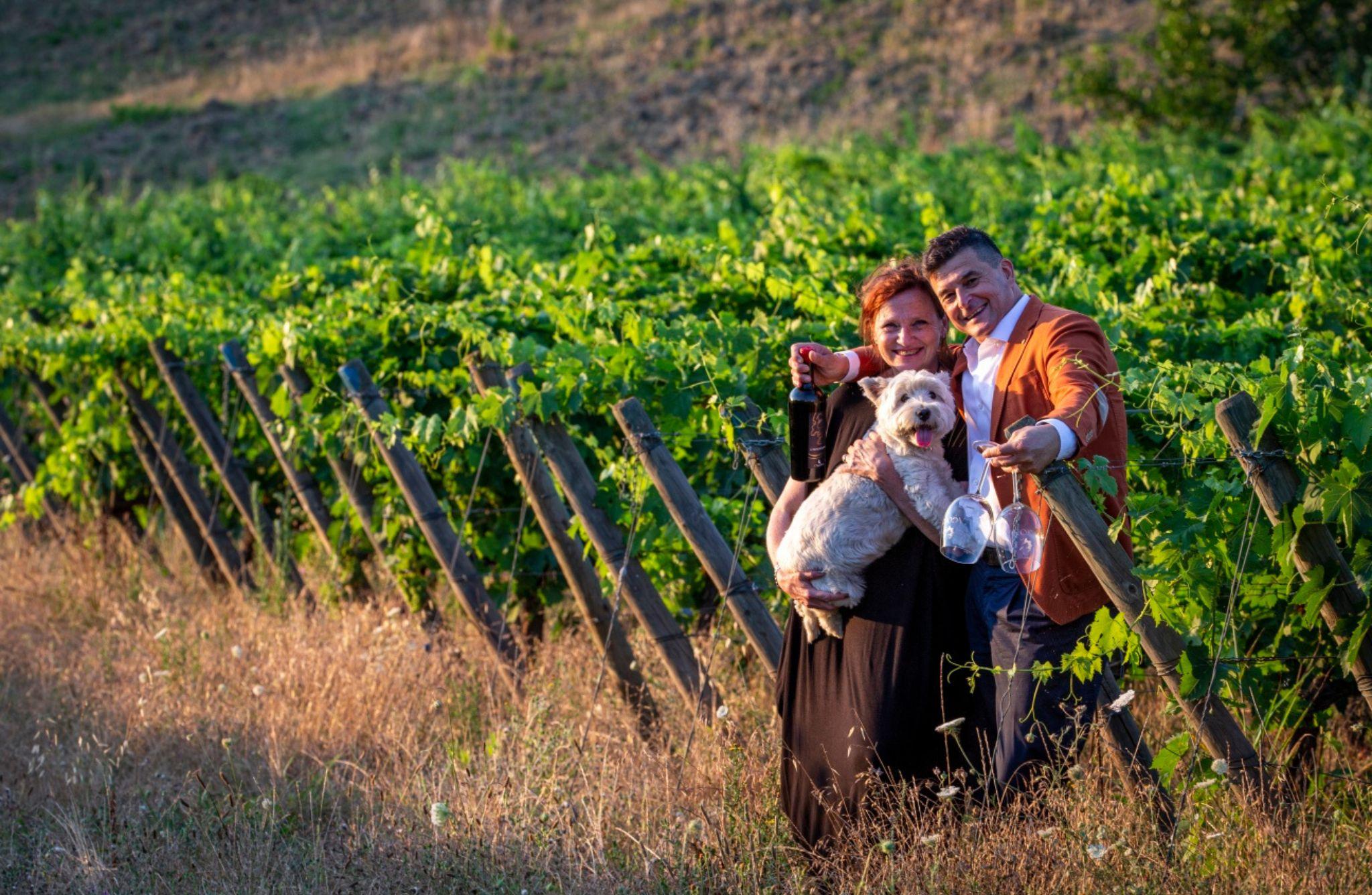 Vineyard & Cellar Tour with Wine Tasting near Pisa - photo 2