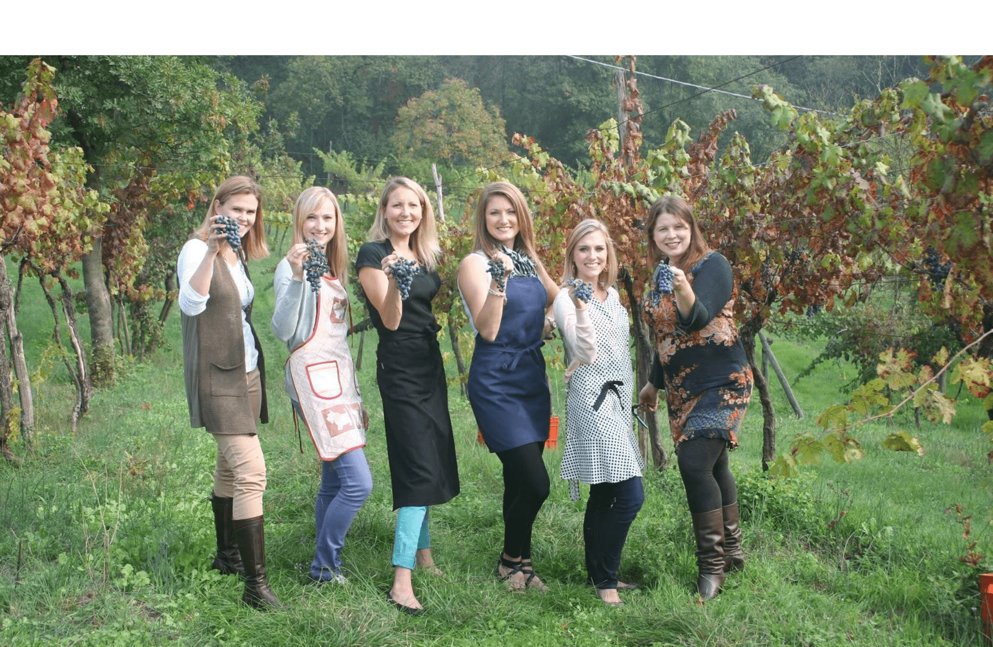 Vineyard Walk & Wine Tasting in the Berici Hills of Vicenza - photo 5