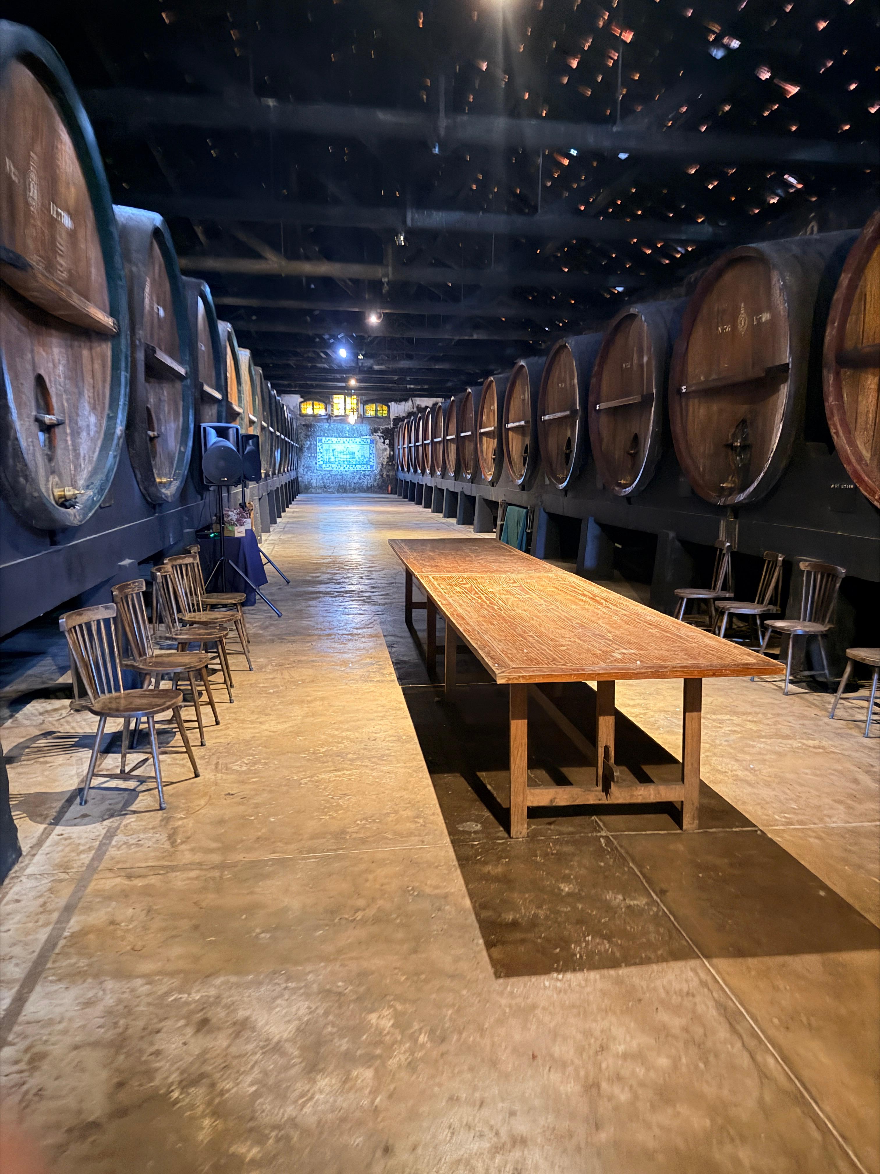 Setúbal: Luxury Wellness, Nature Walk & Wine Tour - photo 2