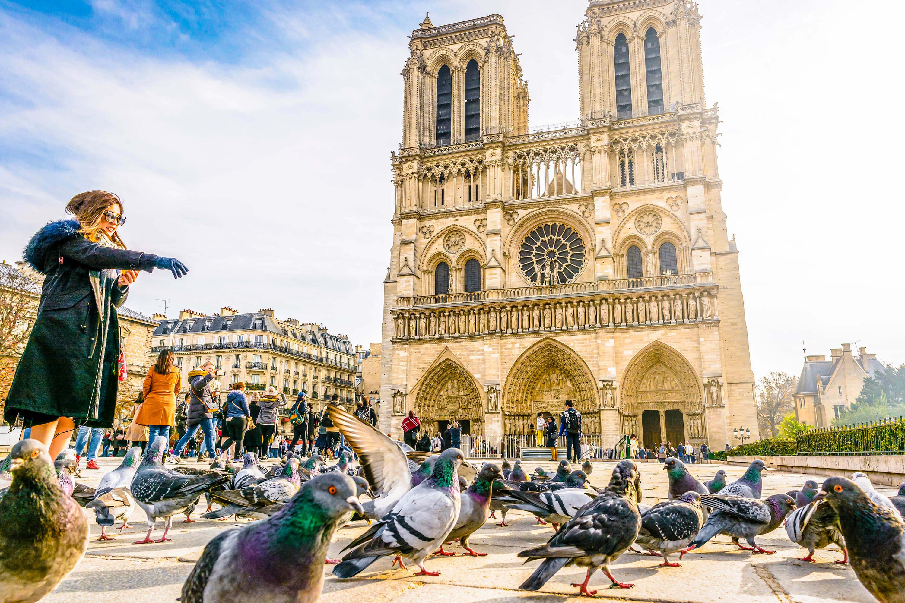 Notre Dame de Paris Audioguide + Big City Audio Tour - photo 2