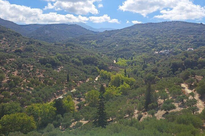 Olive Oil Mill Raki Distillery and Heraklion City Private Tour - photo 3