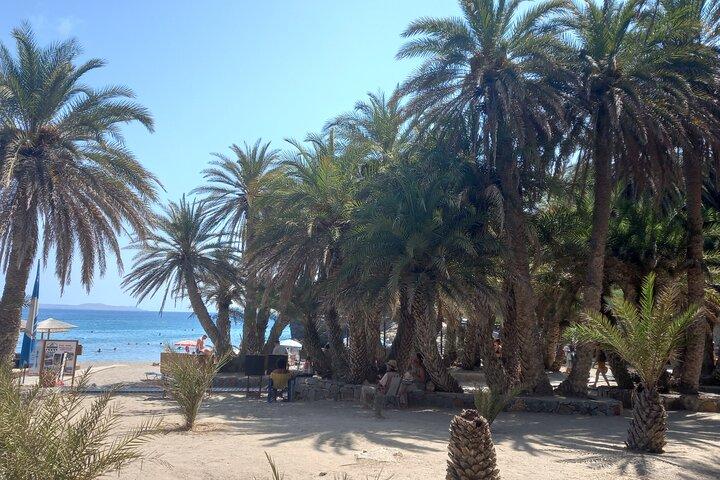 Full Day Private Tour to Vai Palm Beach  - photo 3