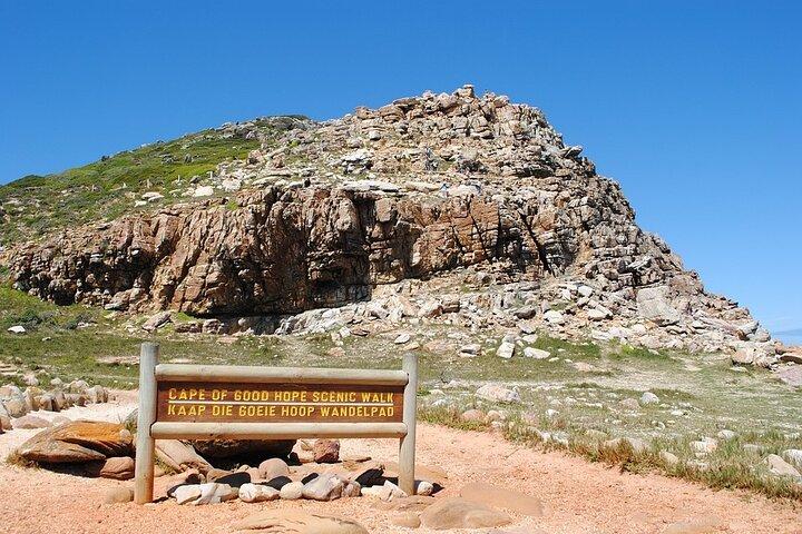 activity image