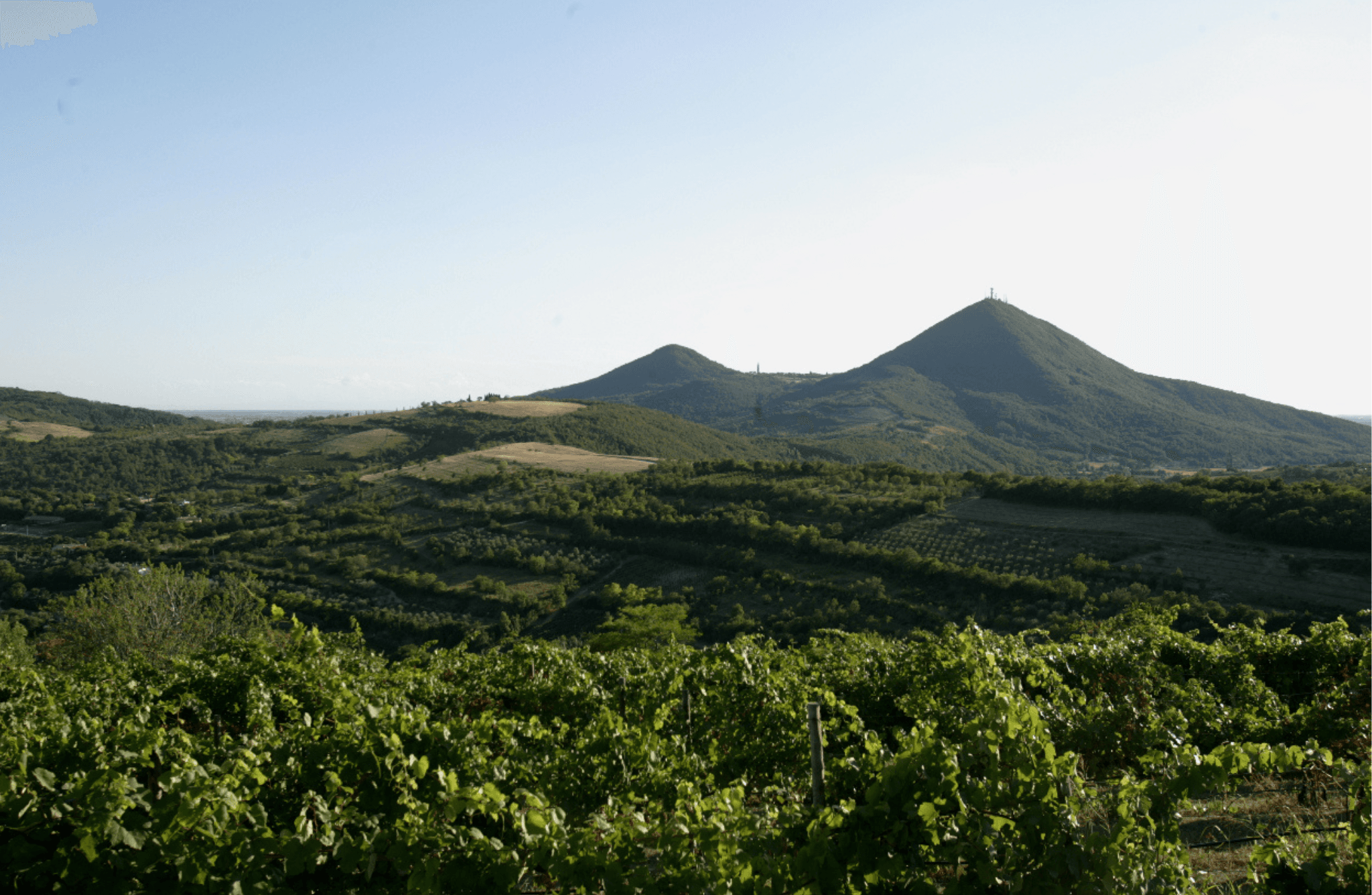 Winery Tour & Tasting on Padua Hills - photo 4
