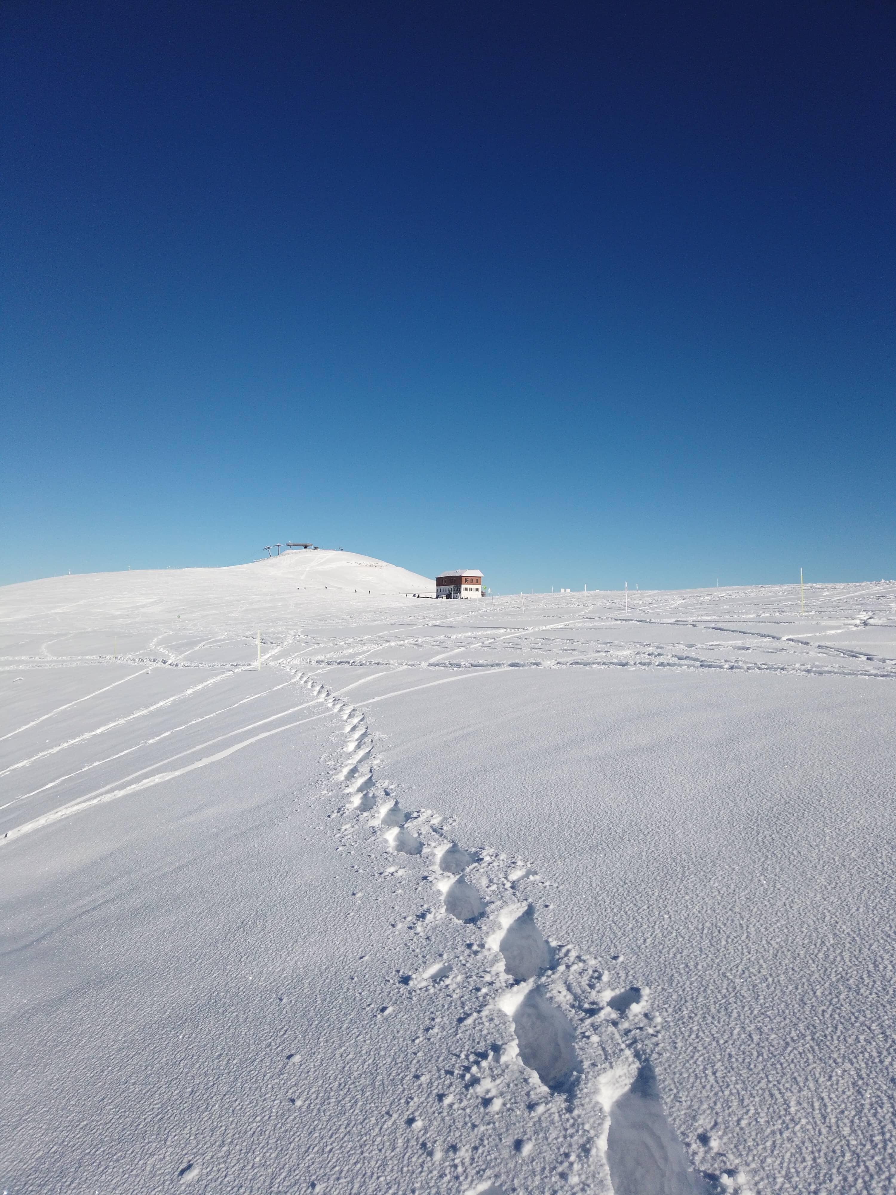Snowshoeing trip near Annecy - photo 2