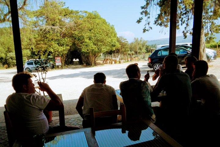 activity image