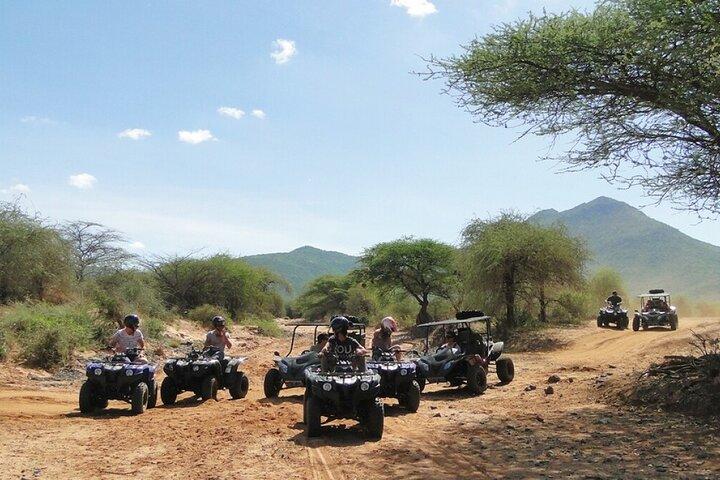 activity image