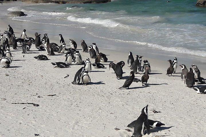 activity image