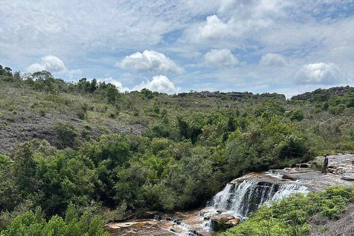 activity image