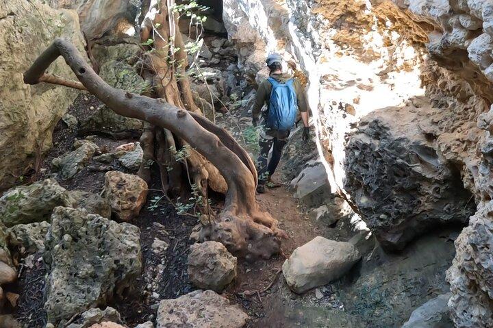 activity image