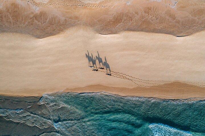 activity image