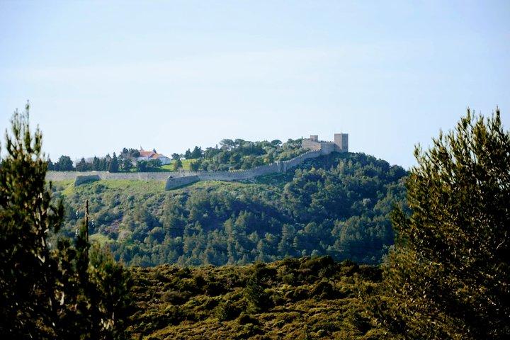activity image