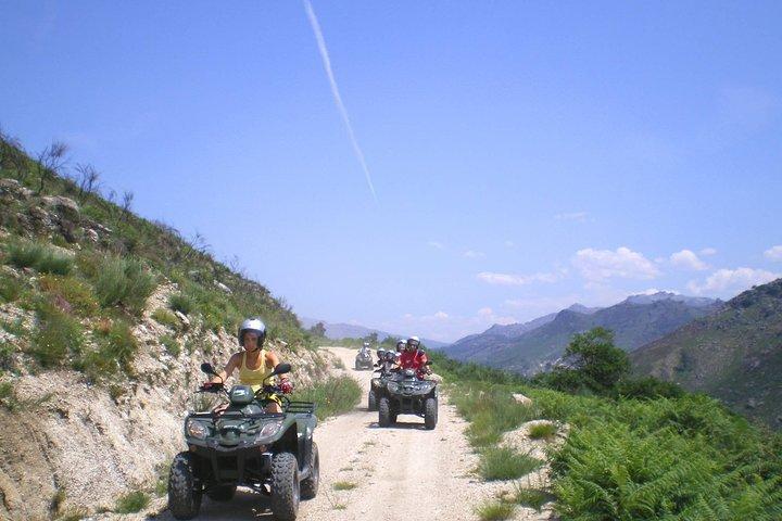 activity image