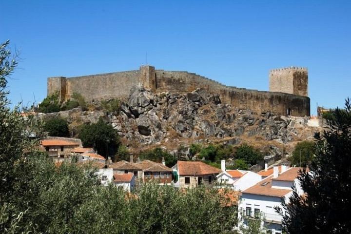 activity image