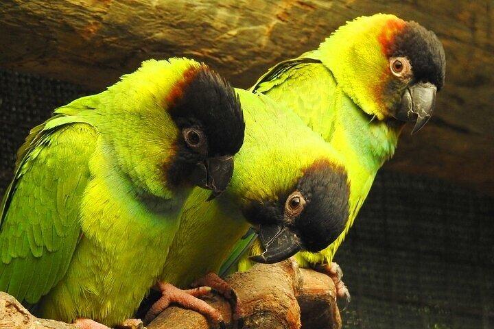 activity image