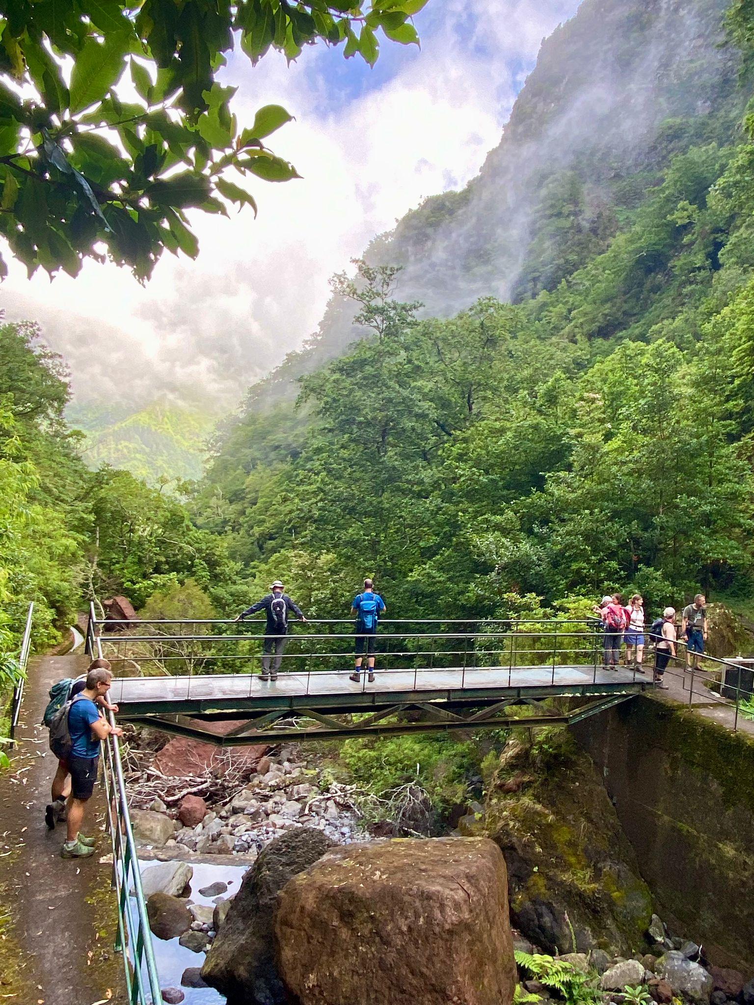 activity image