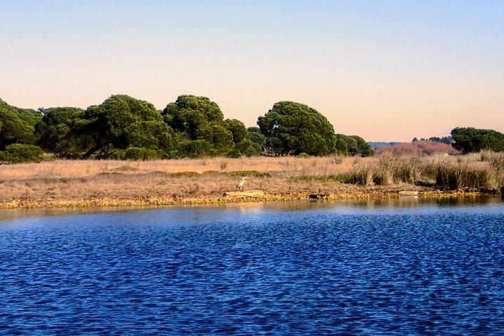activity image