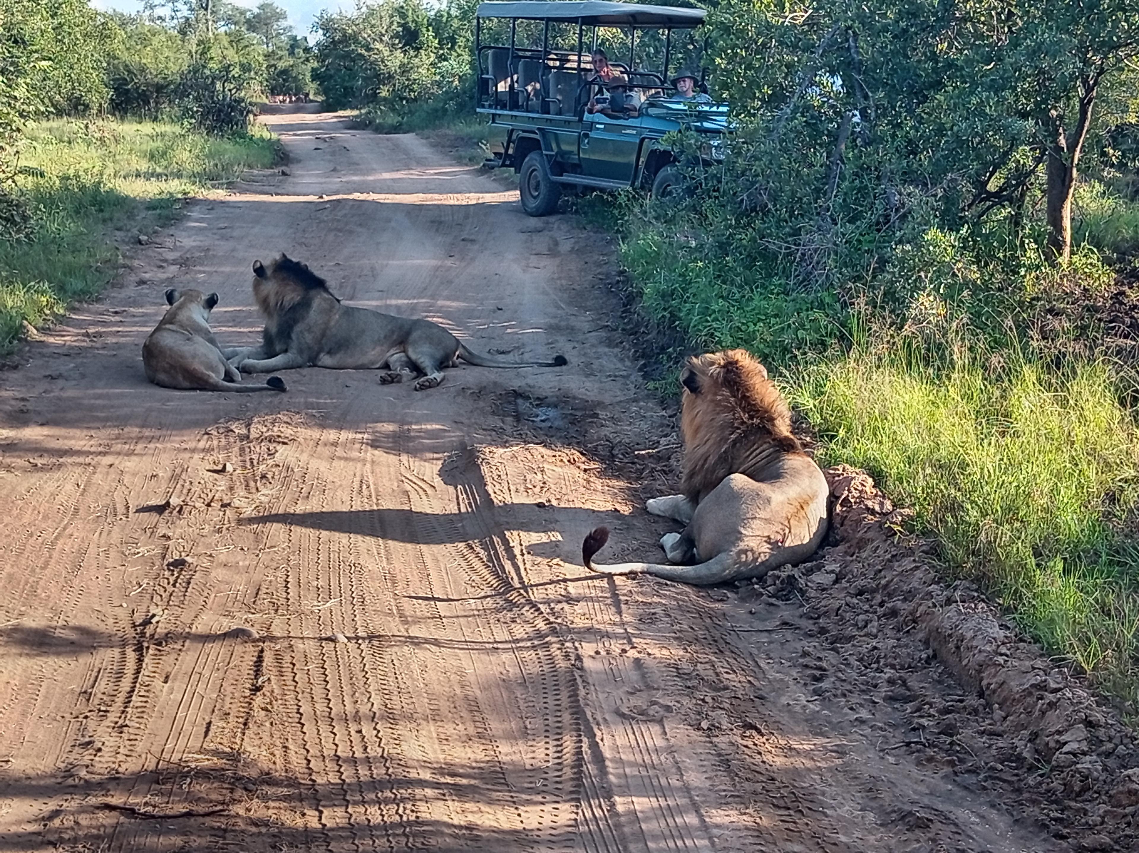 activity image