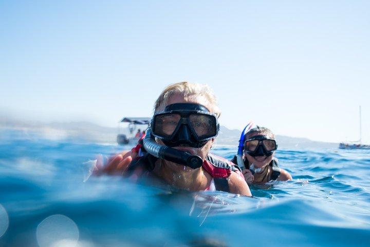 activity image