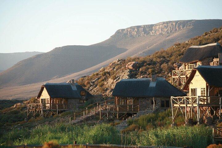 activity image