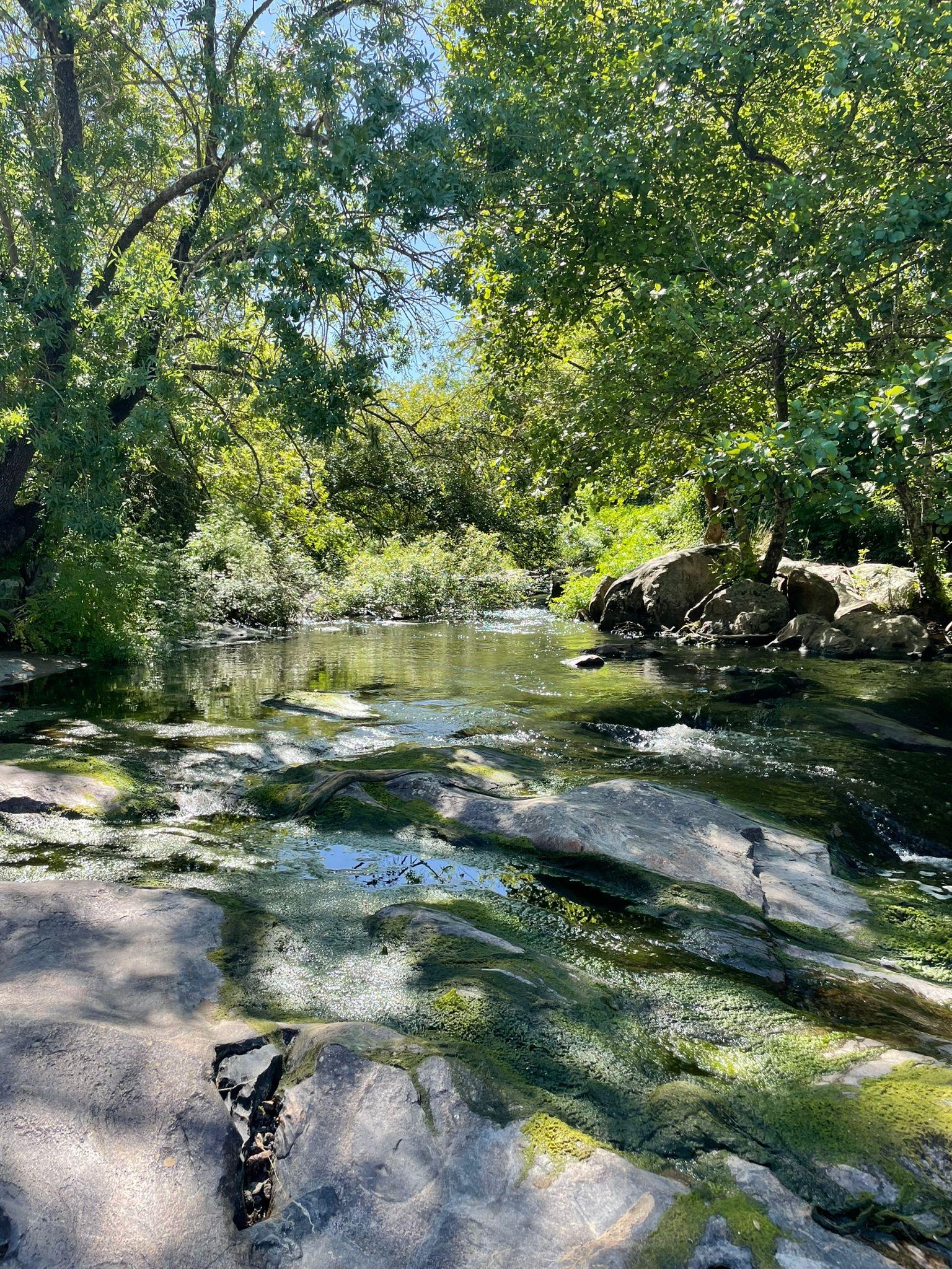 activity image