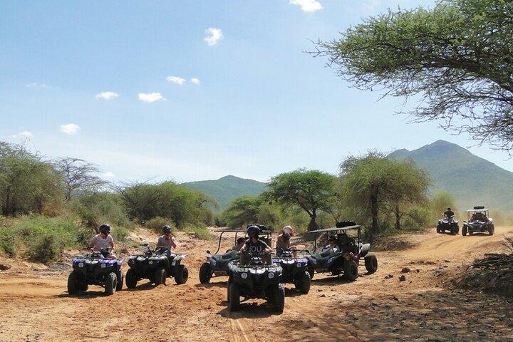 activity image