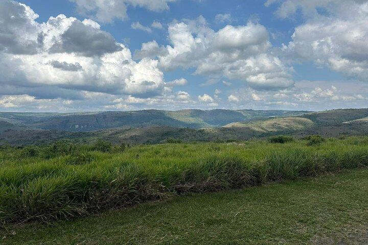 activity image