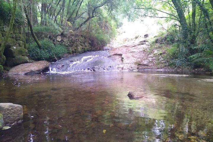 activity image