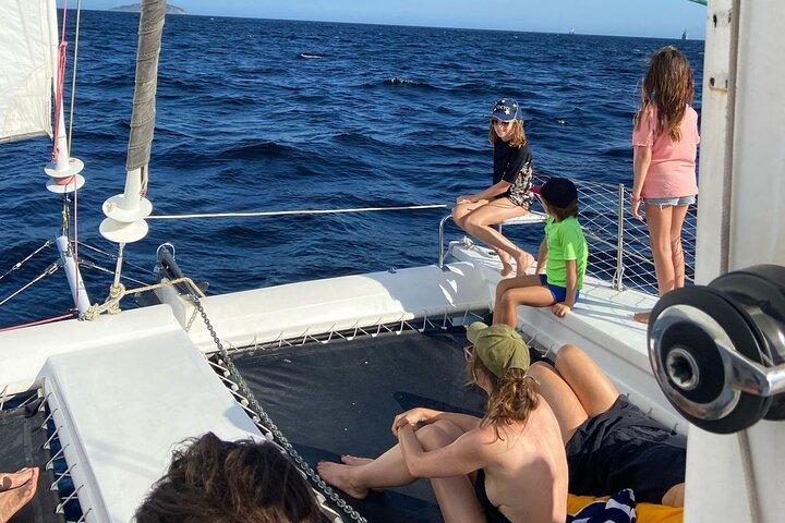 activity image