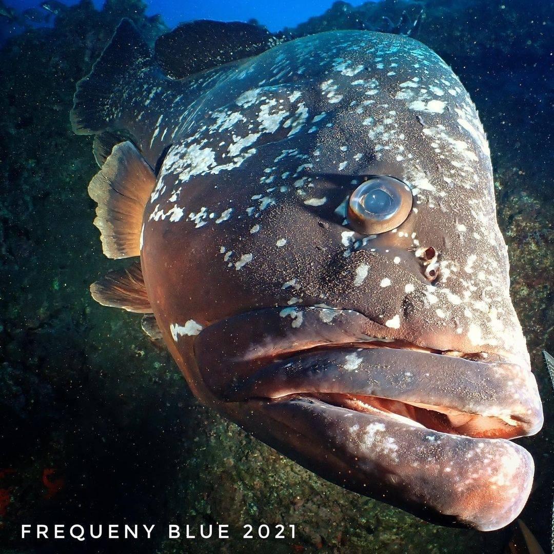 activity image