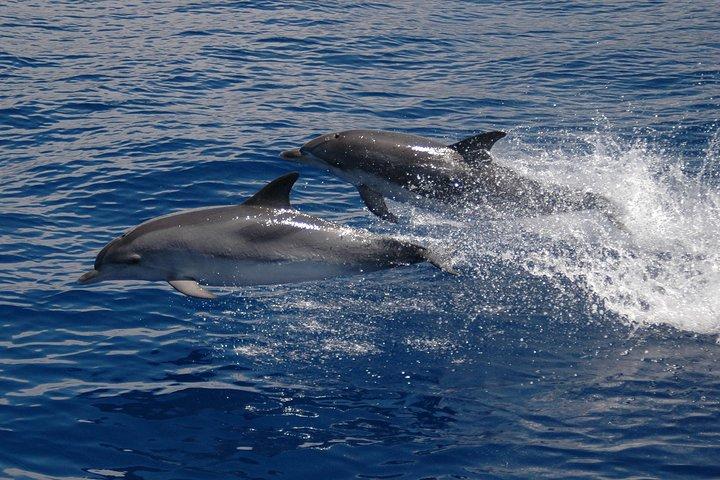 activity image