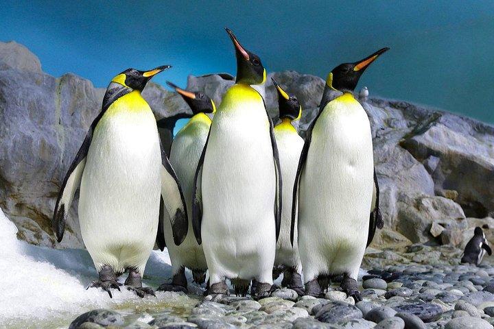 activity image