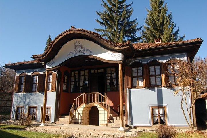 activity image