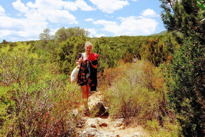 activity image