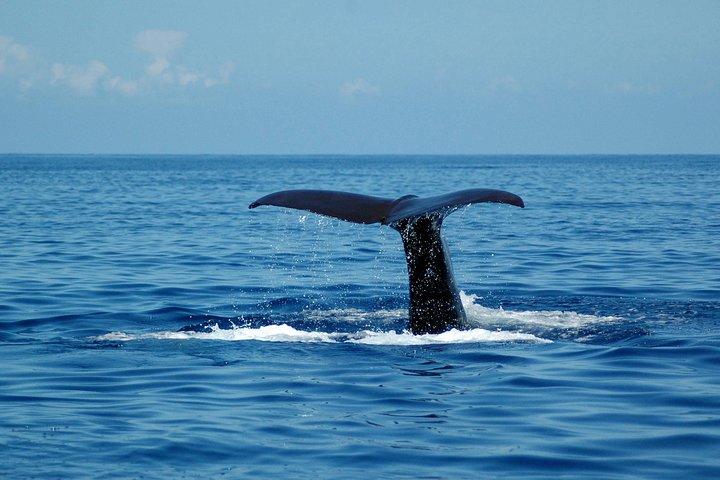 activity image