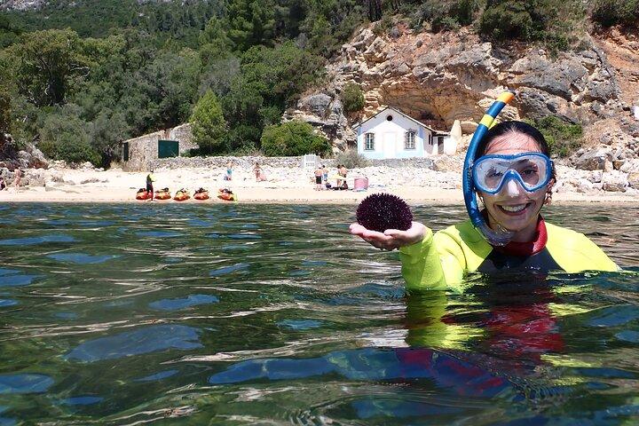 activity image