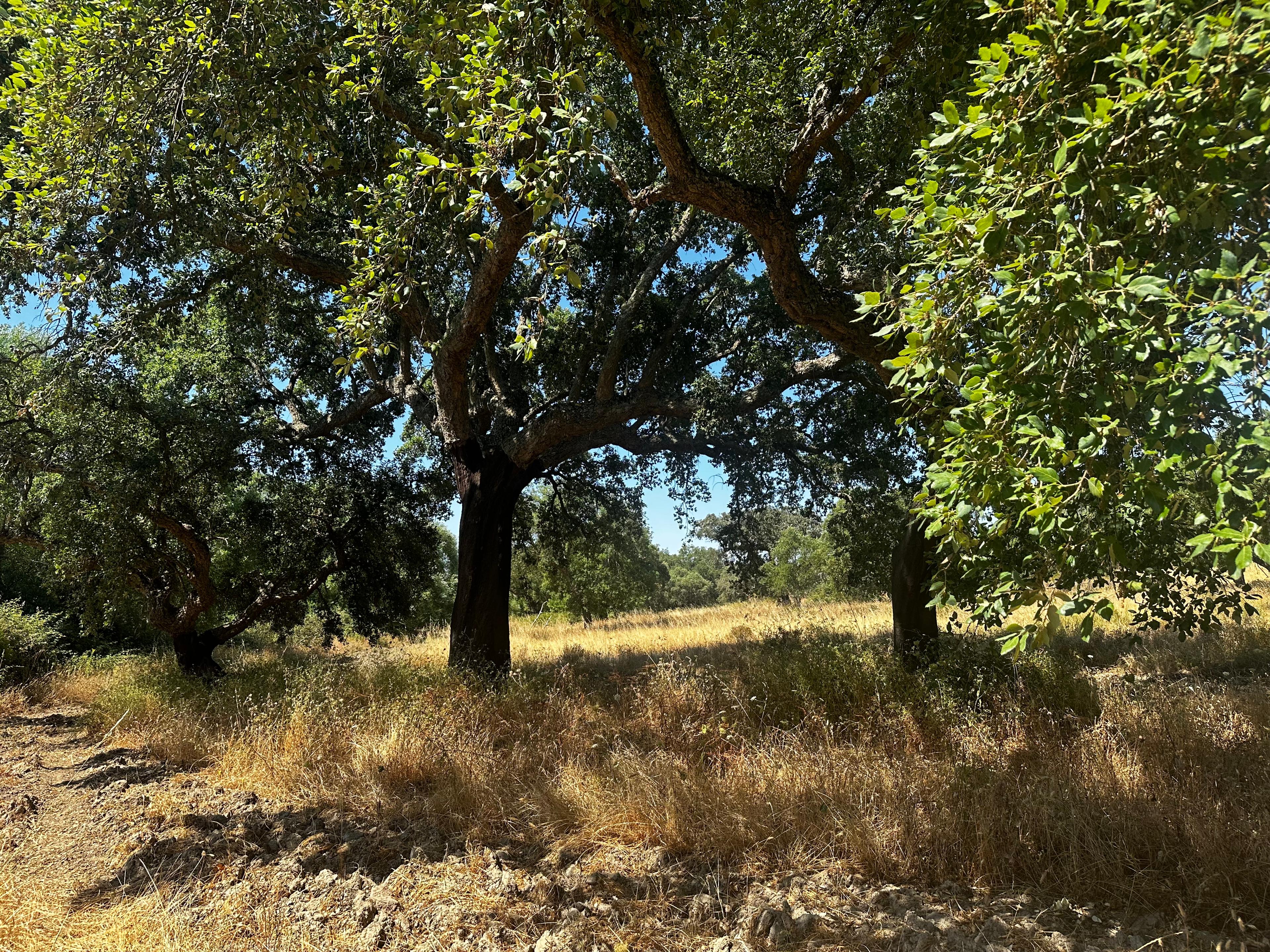 activity image