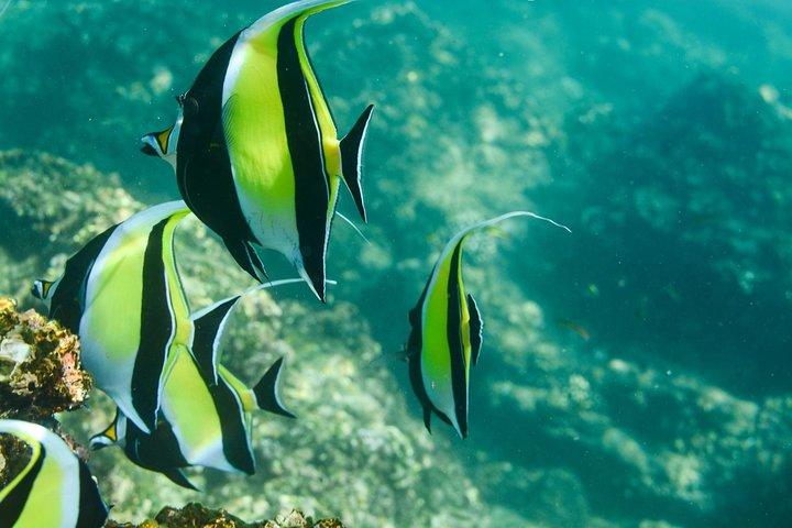 activity image